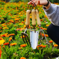 3pcs stainless steel Garden Tool Set heavy duty garden hand tools set Hand rake Hand Fork Trowel agricultural tools